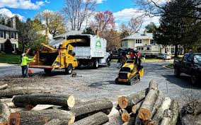Best Arborist Consultation Services  in Eton, GA