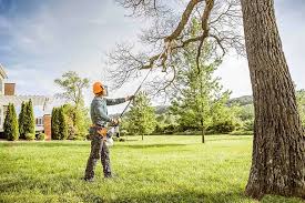 Trusted Eton, GA Tree Care Experts