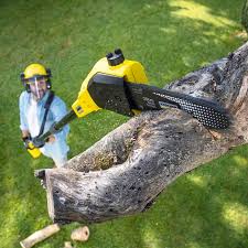 Best Grass Overseeding  in Eton, GA